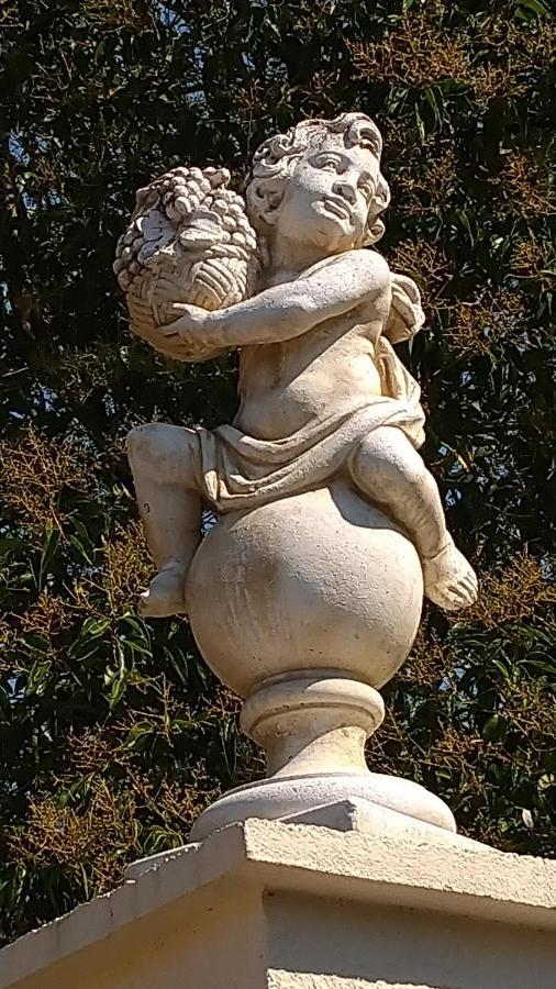 Le Clos Du Cedre Launac Zewnętrze zdjęcie